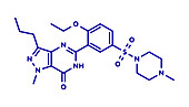Sildenafil erectile dysfunction drug, molecular model