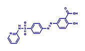 Sulfasalazine drug, molecular model