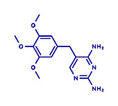 Trimethoprim antibiotic drug, molecular model