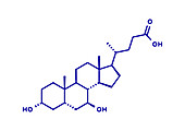 Ursodiol gallstone drug, molecular model