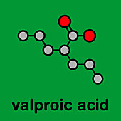 Valproic acid epilepsy drug, molecular model