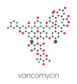 Vancomycin antibiotic drug, molecular model