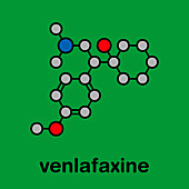 Venlafaxine antidepressant drug, molecular model