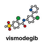 Vismodegib cancer drug, molecular model
