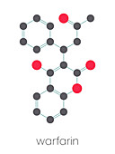 Warfarin anticoagulant drug, molecular model