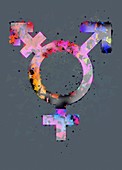 Male, female and trans symbols, illustration