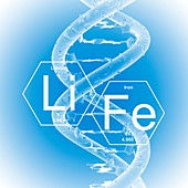 DNA and life, illustration