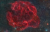 Simeis 147 supernova remnant, optical image