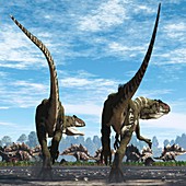 Allosaurus dinosaurs hunting, illustration