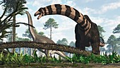 Male and female Brontosaurus dinosaurs, illustration