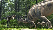 Parasaurolophus and Gorgosaurus dinosaurs fighting, illustra