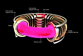 Tokamak nuclear fusion reactor, illustration