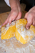 Hand dividing a fresh homemade pasta dough