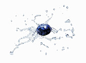 Blaubeere mit Wassersplash