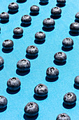 Blueberries in diagonal rows laid out on a blue background