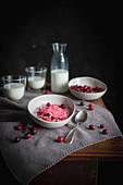 Cremig aufgeschlagener Cranberry-Grießbrei serviert mit Milch