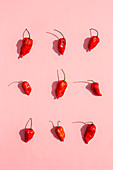Nine fresh red chilli peppers on a pink surface
