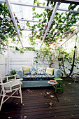 Comfortable sofa on wooden terrace below climber-covered pergola