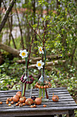 Flowering narcissus in bottles of water with wreaths of onions on garden table