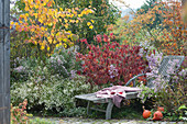 Liegestuhl am Herbstbeet mit Aster 'Calliope', Schneeball und Ahorn
