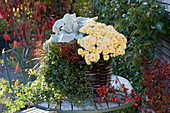 Korb mit Chrysantheme 'Rico Apricot', Efeu, Kreuzkraut 'Angel Wings', Segge und Zweige mit Hagebutten als Deko