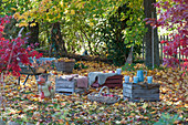 Upturned wine crates as a seating area under the maple tree