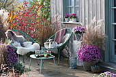 Acapulco armchair with fur and blanket, chrysanthemums, grasses and trees, dog Zula