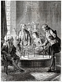 Mesmer's tub, illustration