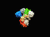 Covid-19 coronavirus spike protein, illustration