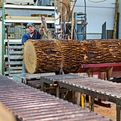 Wooden bowl factory, Michigan, USA