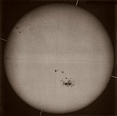 Sunspots on the Sun, 1892