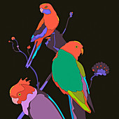 Parrots, illustration