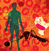 Malaria, conceptual illustration