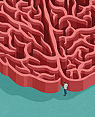 Man at entrance to brain maze, illustration