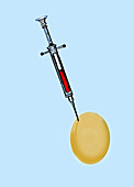 In vitro fertilisation, conceptual illustration