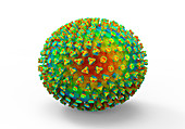 Flu viruses, illustration