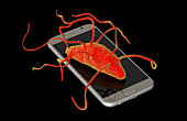 Bacteria found on mobile phone, conceptual illustration