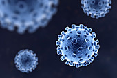 Coronavirus particles, illustration