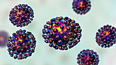 Coronavirus particles, illustration