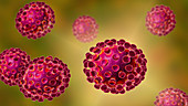 Coronavirus particles, illustration