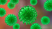 Coronavirus particles, illustration