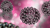 Coronavirus particles, illustration