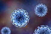 Coronavirus particles, illustration