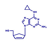 Abacavir reverse transcriptase inhibitor drug, illustration