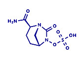 Avibactam drug molecule, illustration