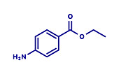 Benzocaine local anaesthetic drug molecule, illustration