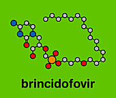Brincidofovir antiviral drug molecule, illustration