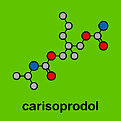 Carisoprodol drug molecule, illustration