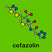 Cefazolin antibiotic drug molecule, illustration
