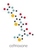 Ceftriaxone antibiotic drug molecule, illustration